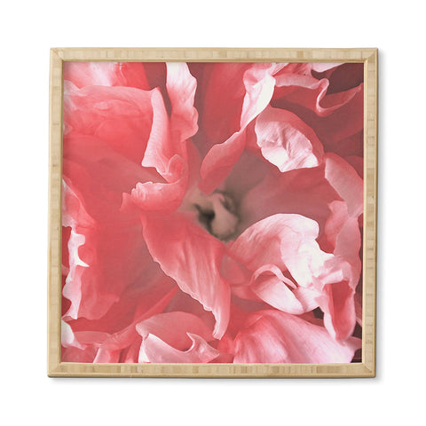 Lisa Argyropoulos Peony Blush Framed Wall Art