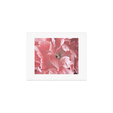 Lisa Argyropoulos Peony Blush Art Print