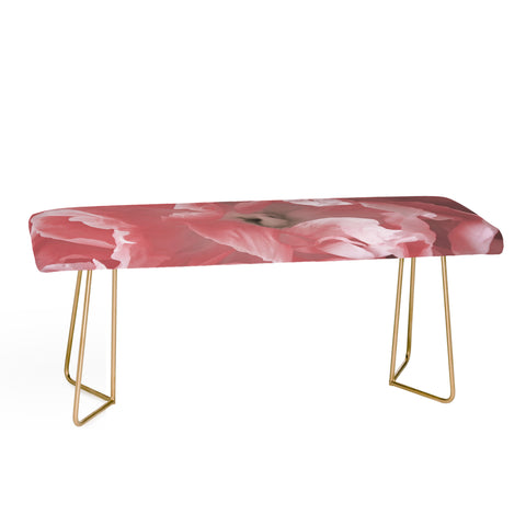 Lisa Argyropoulos Peony Blush Bench