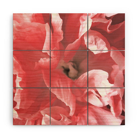 Lisa Argyropoulos Peony Blush Wood Wall Mural
