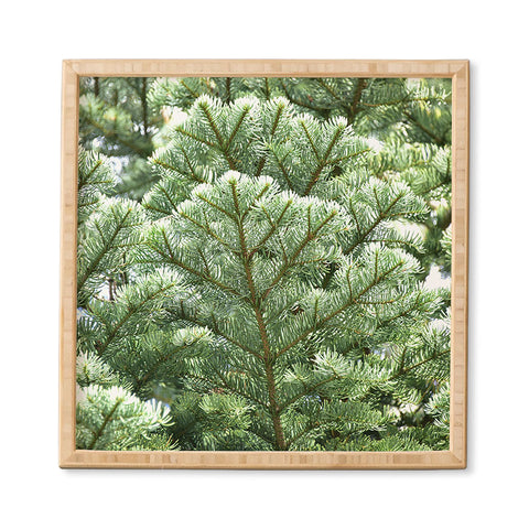 Lisa Argyropoulos Pine Framed Wall Art