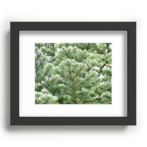 Lisa Argyropoulos Pine Recessed Framing Rectangle