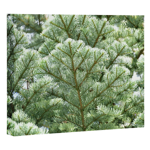 Lisa Argyropoulos Pine Art Canvas