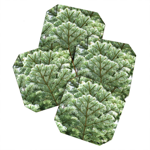Lisa Argyropoulos Pine Coaster Set