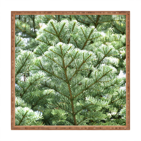 Lisa Argyropoulos Pine Square Tray