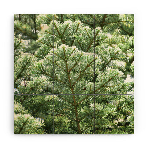 Lisa Argyropoulos Pine Wood Wall Mural