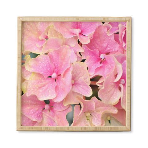 Lisa Argyropoulos Pink Hydrangeas Framed Wall Art