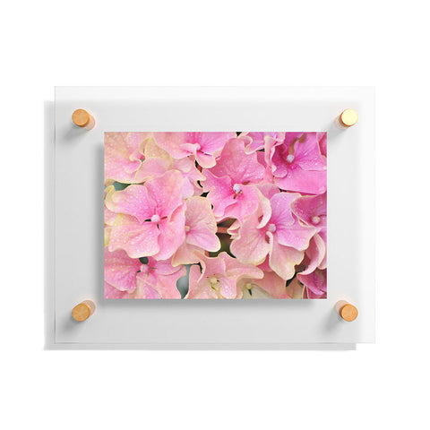 Lisa Argyropoulos Pink Hydrangeas Floating Acrylic Print