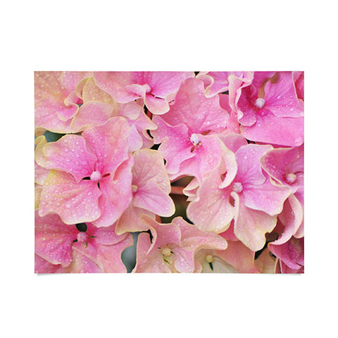 Lisa Argyropoulos Pink Hydrangeas Poster