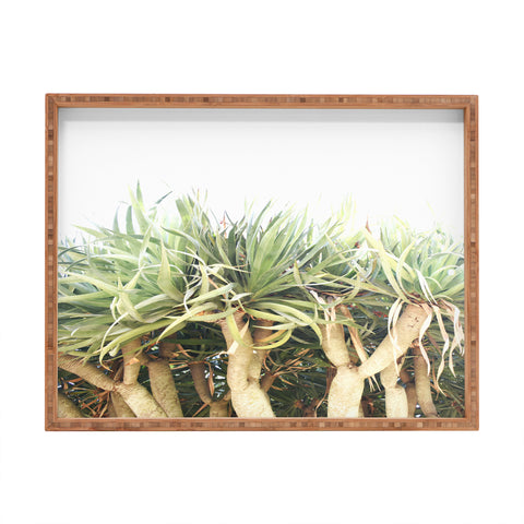 Lisa Argyropoulos Prehistoric Jungle Rectangular Tray
