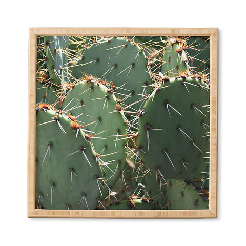 Lisa Argyropoulos Prickly Framed Wall Art