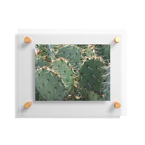 Lisa Argyropoulos Prickly Floating Acrylic Print