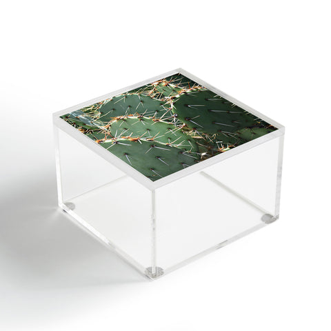 Lisa Argyropoulos Prickly Acrylic Box