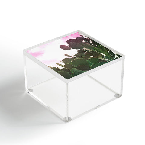 Lisa Argyropoulos Prickly Pink Acrylic Box