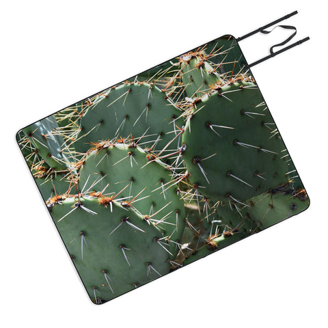 Lisa Argyropoulos Prickly Picnic Blanket