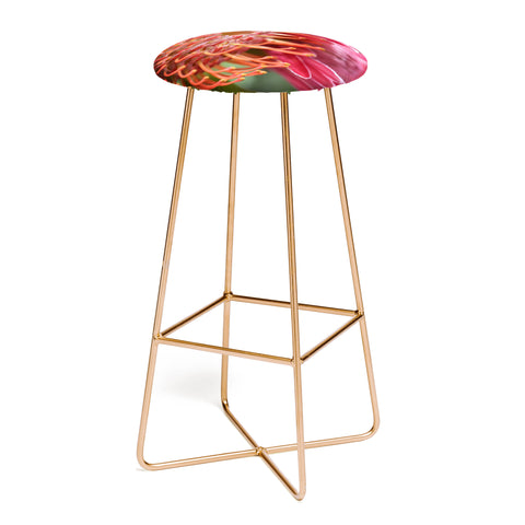 Lisa Argyropoulos Proteas Bar Stool