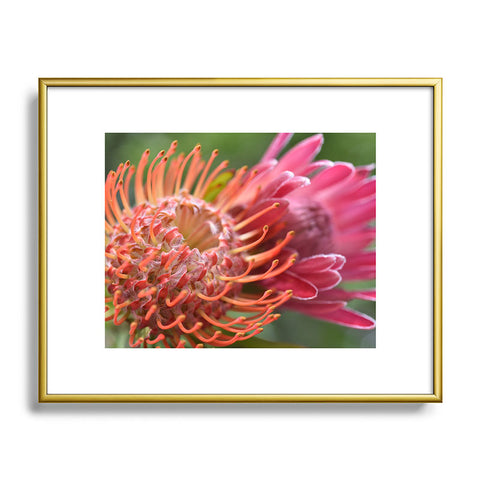 Lisa Argyropoulos Proteas Metal Framed Art Print