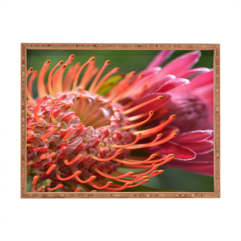 Lisa Argyropoulos Proteas Rectangular Tray
