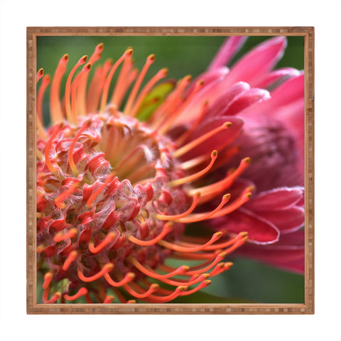 Lisa Argyropoulos Proteas Square Tray