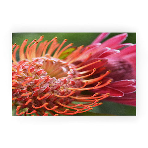 Lisa Argyropoulos Proteas Welcome Mat