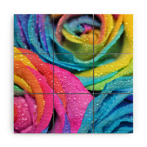Lisa Argyropoulos Rainbow Swirl Wood Wall Mural
