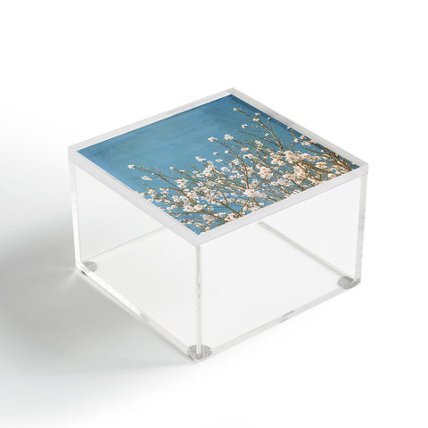 Lisa Argyropoulos Reaching For Spring Acrylic Box