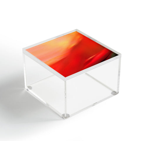 Lisa Argyropoulos Rhapsody Acrylic Box
