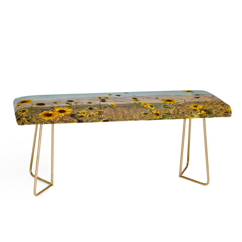 Lisa Argyropoulos Roadside Wild Ones Bench