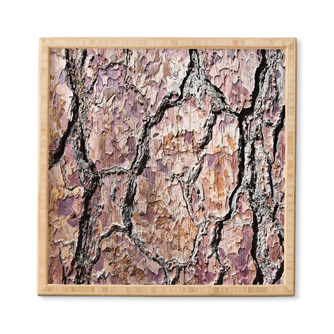 Lisa Argyropoulos Rugged Bark Framed Wall Art