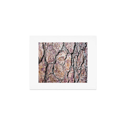 Lisa Argyropoulos Rugged Bark Art Print