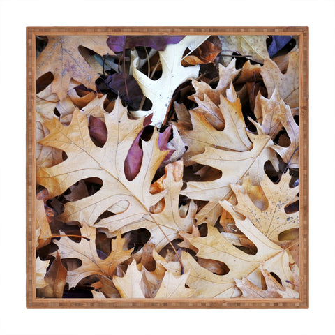 Lisa Argyropoulos Rustic Autumn Square Tray