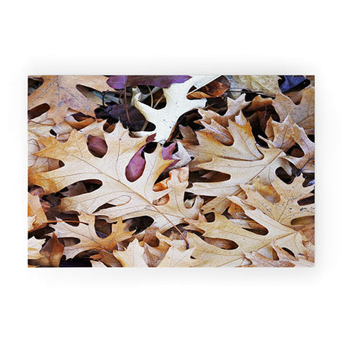 Lisa Argyropoulos Rustic Autumn Welcome Mat