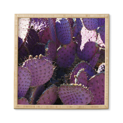 Lisa Argyropoulos Rustic Purple Pancake Cactus Framed Wall Art