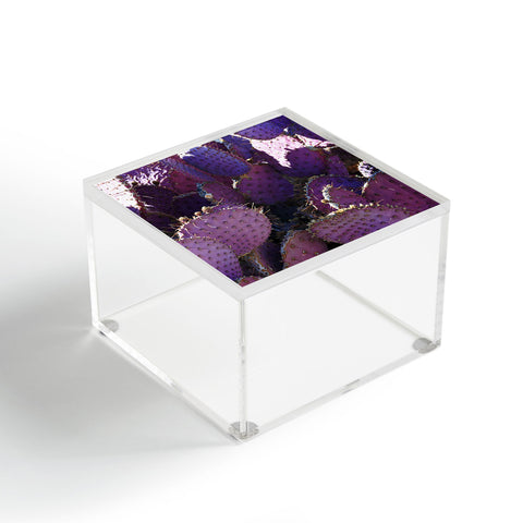 Lisa Argyropoulos Rustic Purple Pancake Cactus Acrylic Box