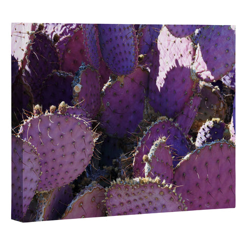 Lisa Argyropoulos Rustic Purple Pancake Cactus Art Canvas