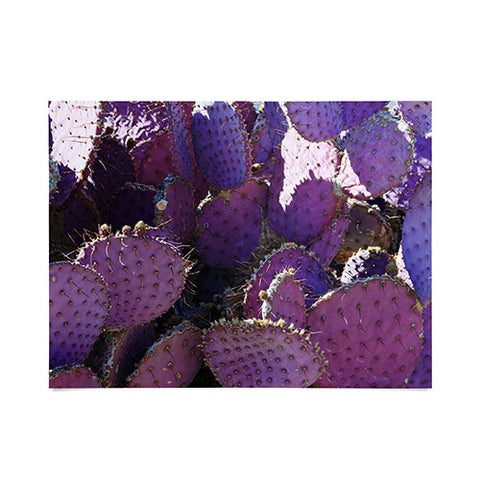 Lisa Argyropoulos Rustic Purple Pancake Cactus Poster