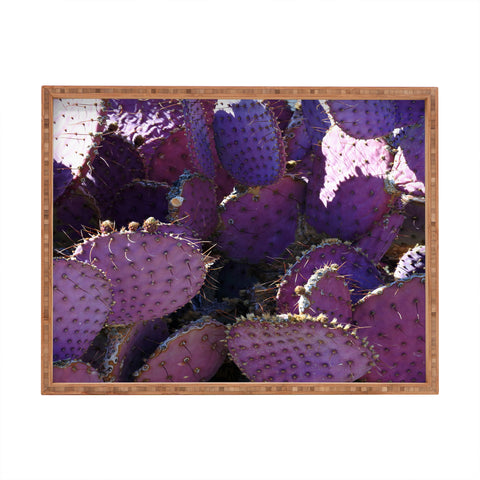 Lisa Argyropoulos Rustic Purple Pancake Cactus Rectangular Tray