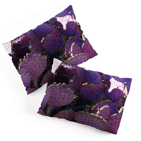 Lisa Argyropoulos Rustic Purple Pancake Cactus Pillow Shams