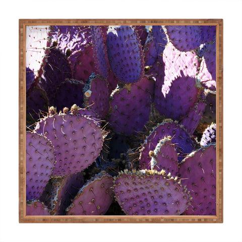 Lisa Argyropoulos Rustic Purple Pancake Cactus Square Tray