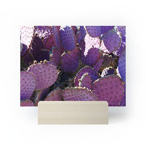 Lisa Argyropoulos Rustic Purple Pancake Cactus Mini Art Print