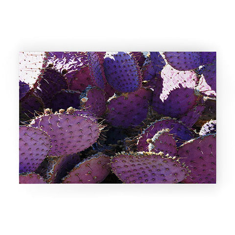 Lisa Argyropoulos Rustic Purple Pancake Cactus Welcome Mat