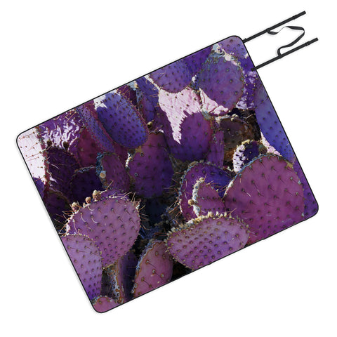Lisa Argyropoulos Rustic Purple Pancake Cactus Picnic Blanket