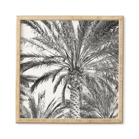 Lisa Argyropoulos San Diego Palms Framed Wall Art