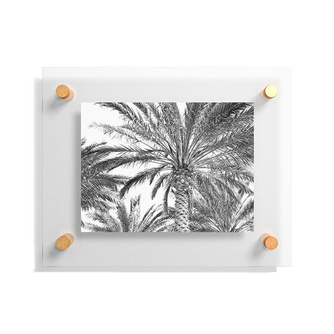 Lisa Argyropoulos San Diego Palms Floating Acrylic Print