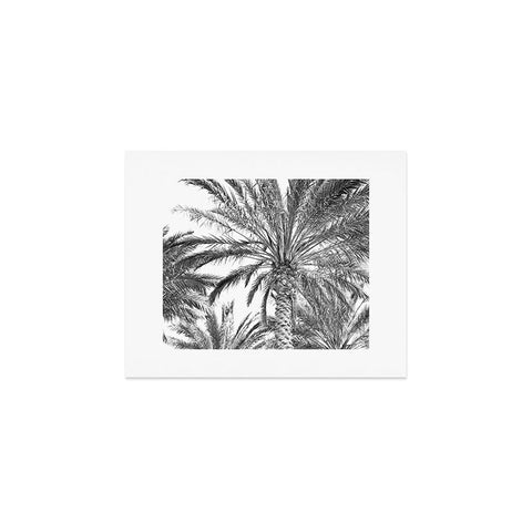 Lisa Argyropoulos San Diego Palms Art Print