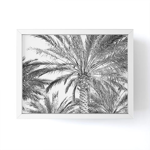 Lisa Argyropoulos San Diego Palms Framed Mini Art Print