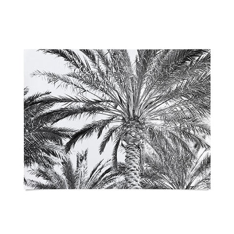 Lisa Argyropoulos San Diego Palms Poster