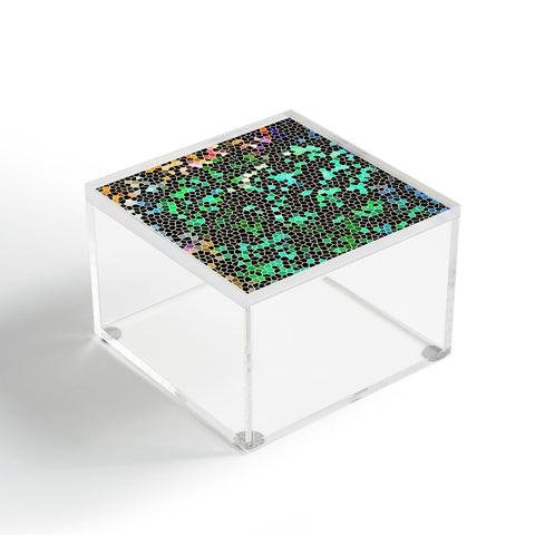 Lisa Argyropoulos Seekers Acrylic Box