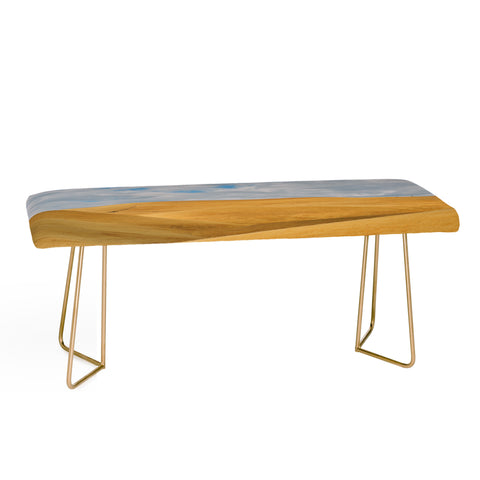 Lisa Argyropoulos Serenity Bench
