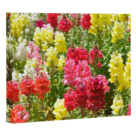 Lisa Argyropoulos Snappies Art Canvas